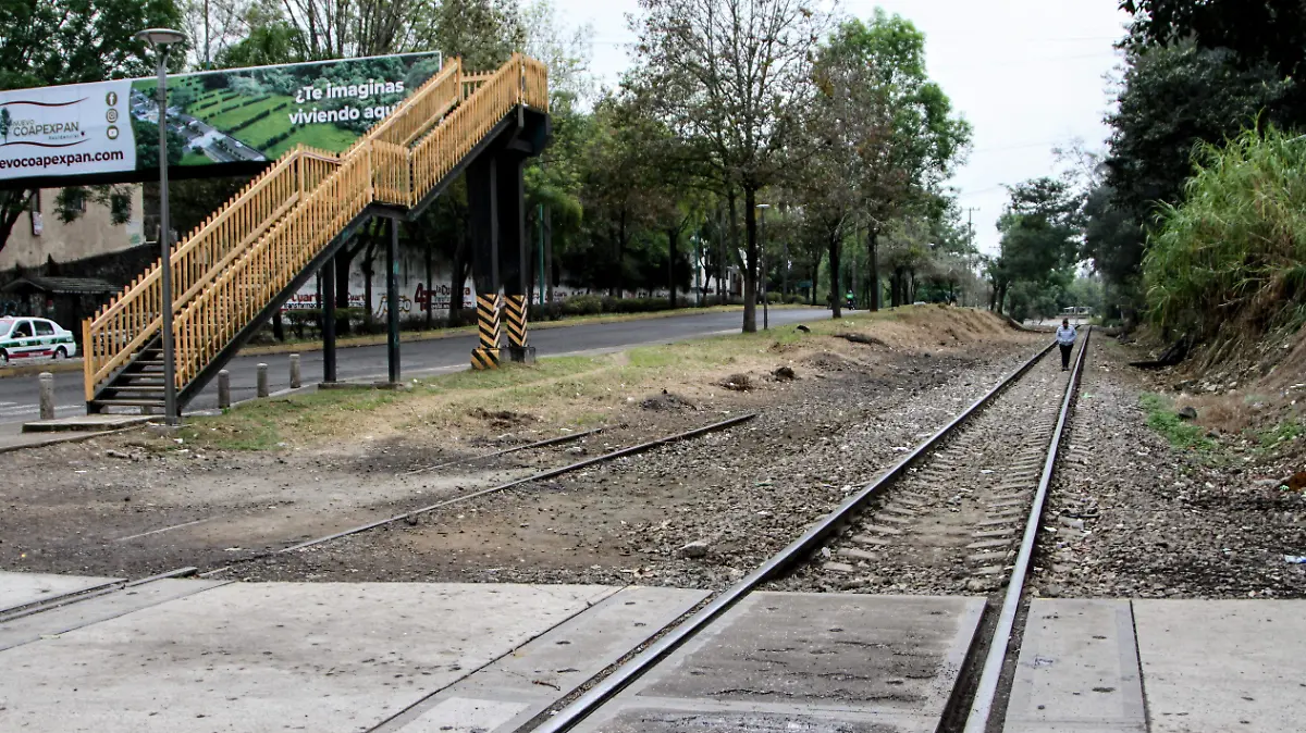 RENE-TREN LIGERO-1-1